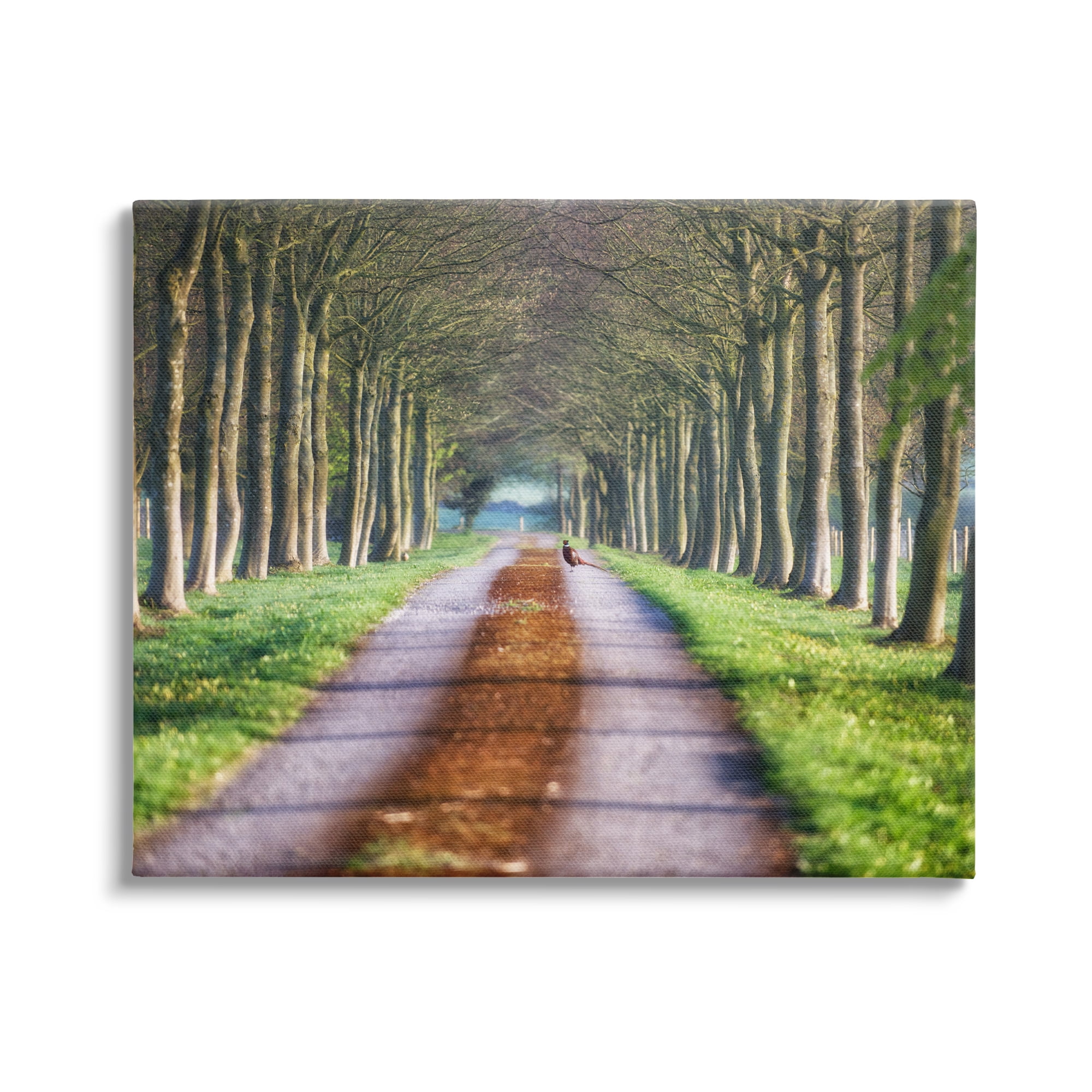 Stupell Industries Aligned Trees Along Orchard Path Nature Tunnel Photograph Gallery Wrapped Canvas Print Wall Art, Design by James Dobson