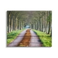 thumbnail image 1 of Stupell Industries Aligned Trees Along Orchard Path Nature Tunnel Photograph Gallery Wrapped Canvas Print Wall Art, Design by James Dobson, 1 of 7