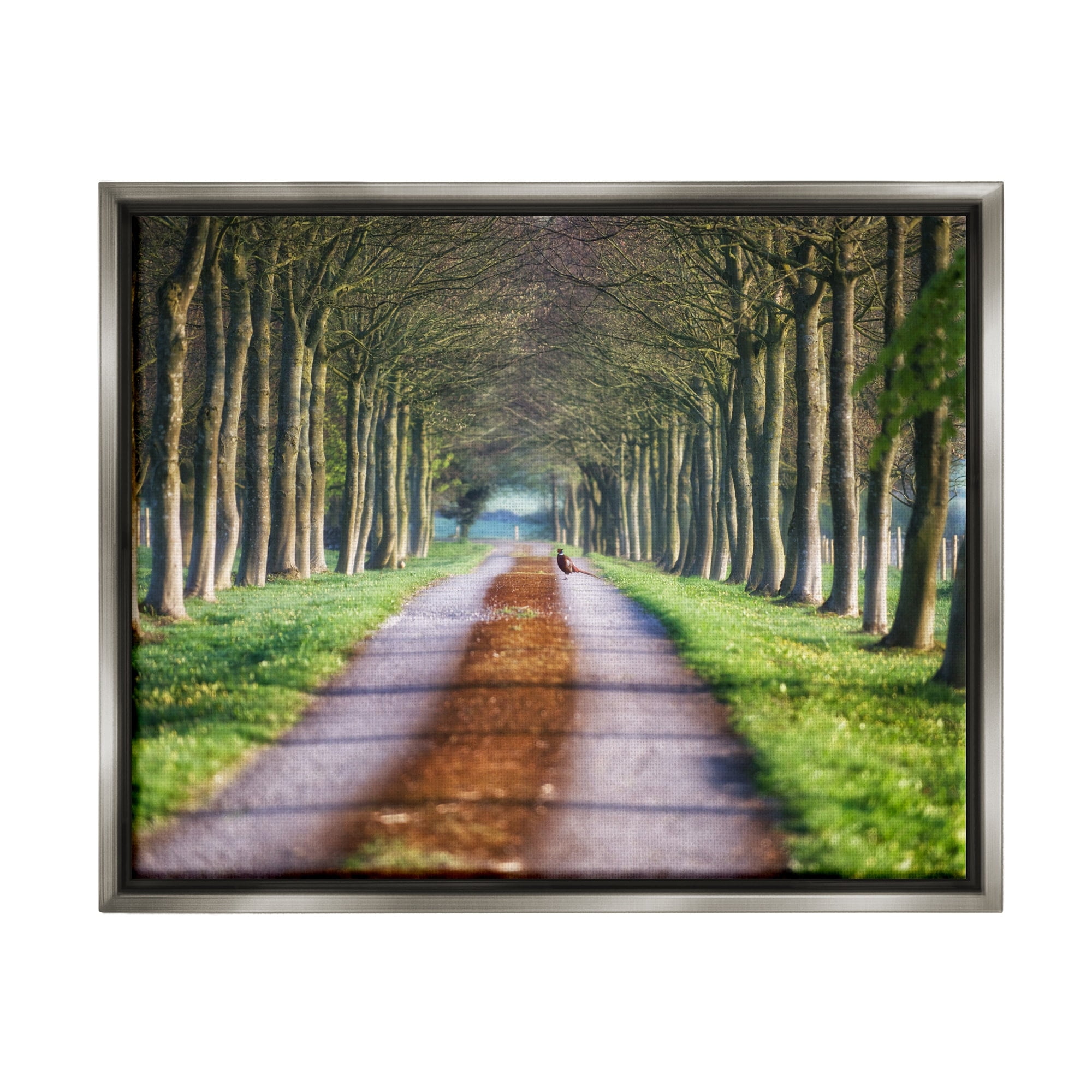 Stupell Industries Aligned Trees Along Orchard Path Nature Tunnel Photograph Luster Gray Floating Framed Canvas Print Wall Art, Design by James Dobson