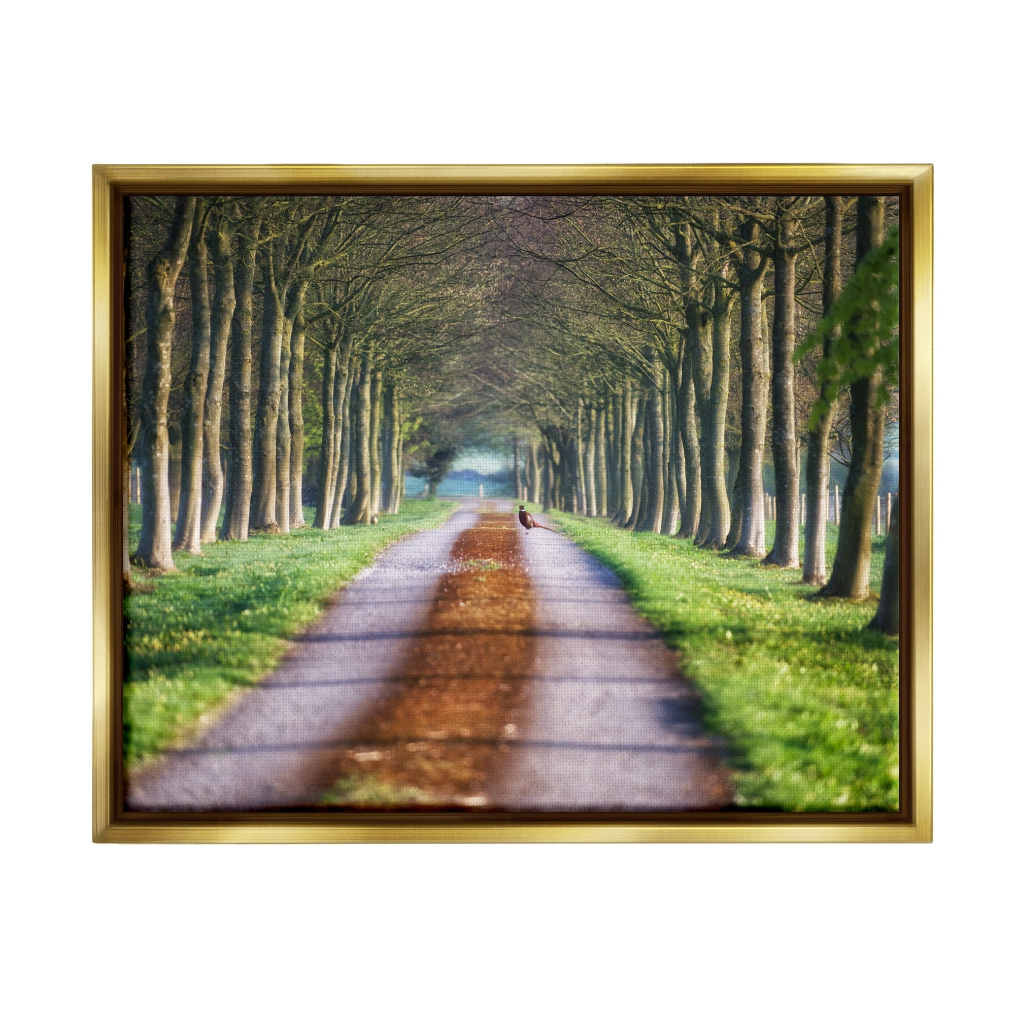Stupell Industries Aligned Trees Along Orchard Path Nature Tunnel Photograph Metallic Gold Floating Framed Canvas Print Wall Art, Design by James Dobson