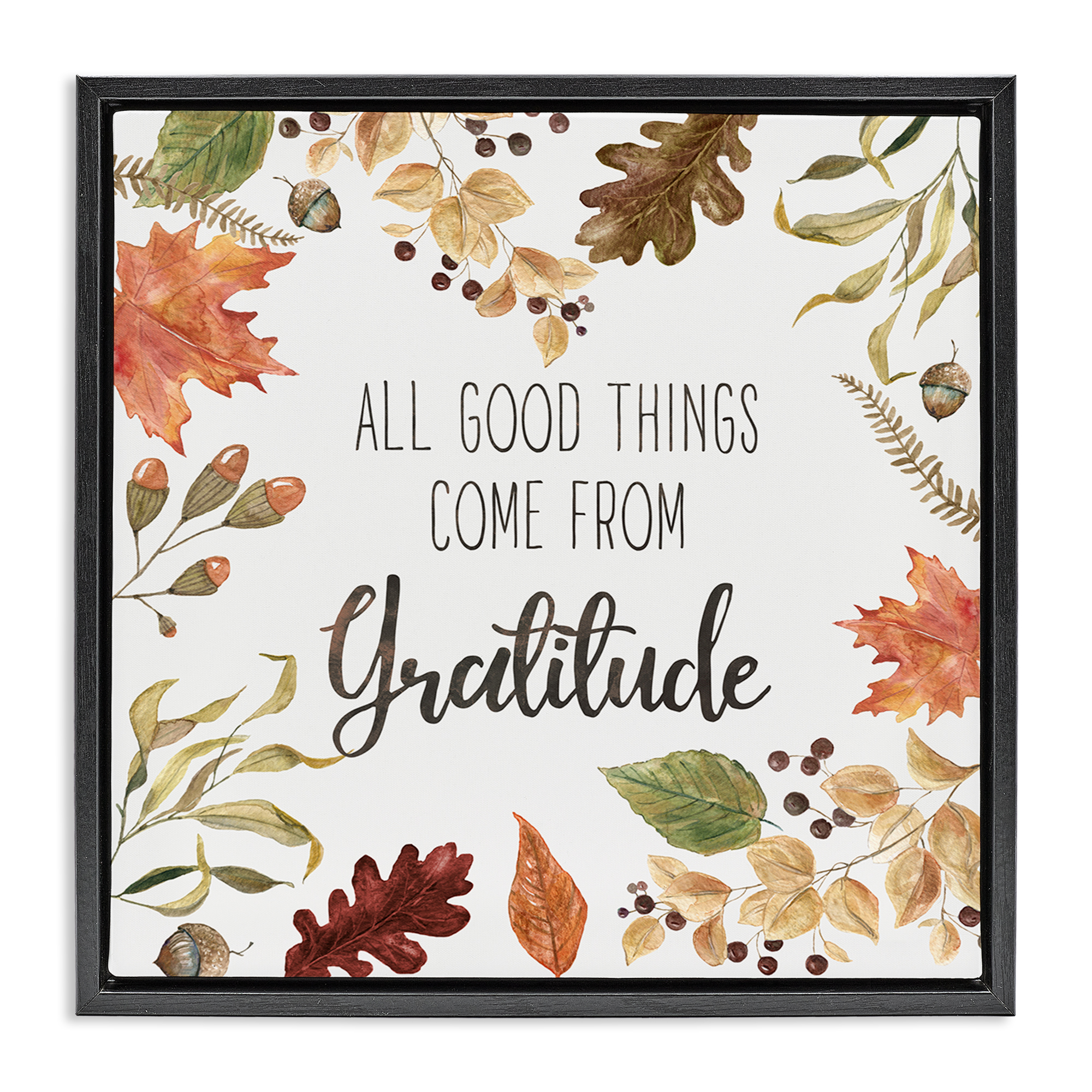 Stupell Industries All Good Things Graditude Botanical & Floral Painting Black Floater Framed Canvas Art Prints Wall Art, 18 x 18