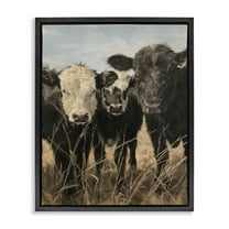 Stupell Industries All In Cow Family Animals Painting Black Floater Framed Canvas Art Print Wall Art, 17 x 21