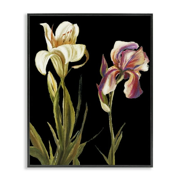 Stupell Industries Alluring Iris Blooms Botanical & Floral Painting Black Framed Art Print Wall Art, 11 x 14