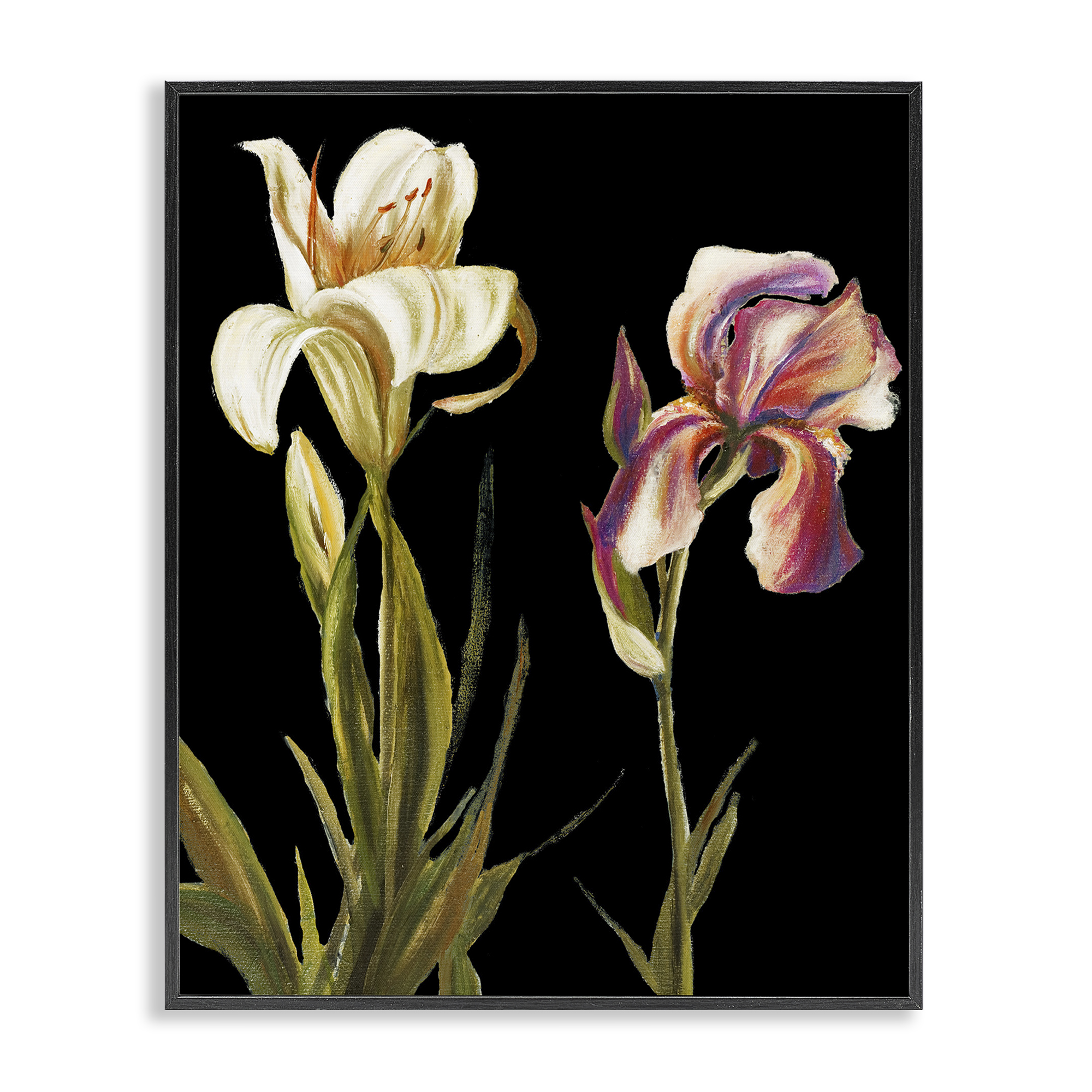 Stupell Industries Alluring Iris Blooms Botanical & Floral Painting Black Framed Art Print Wall Art, 24 x 30