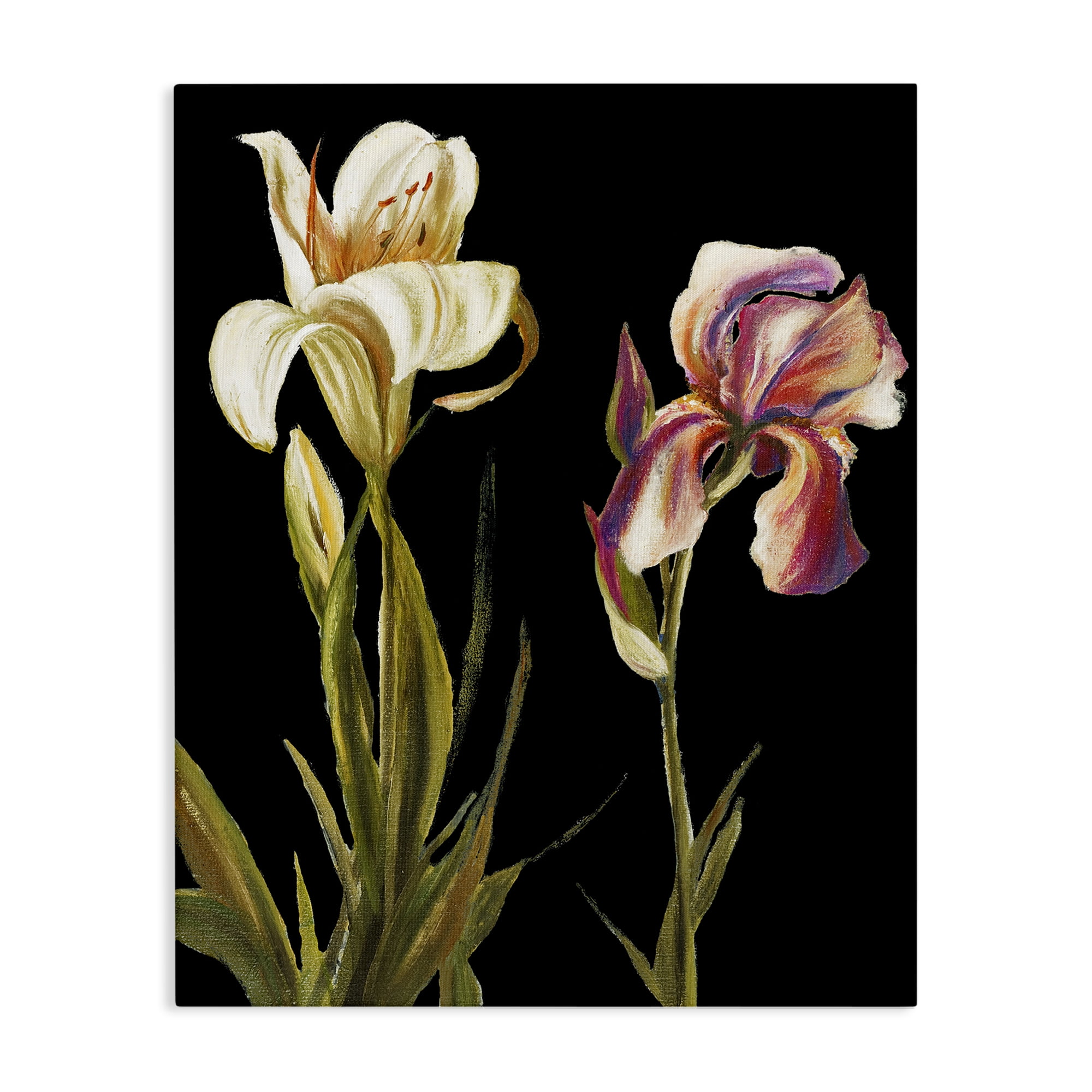 Stupell Industries Alluring Iris Blooms Botanical & Floral Painting Gallery Wrapped Canvas Art Print Wall Art, 36 x 48
