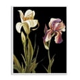 thumbnail image 1 of Stupell Industries Alluring Iris Blooms Botanical & Floral Painting White Framed Art Print Wall Art, 11 x 14, 1 of 10