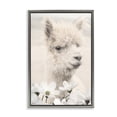 thumbnail image 1 of Stupell Industries Alpaca with White Blossoms Animals Photography Gray Floater Framed Canvas Art Print Wall Art, 17 x 25, 1 of 9