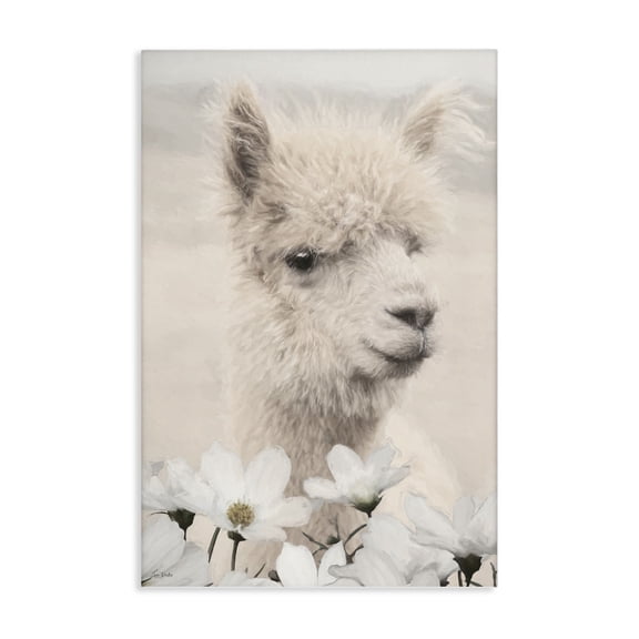 Stupell Industries Alpaca with White Blossoms Animals Photography Wrapped Canvas Canvas Art Print Wall Art, 16 x 24