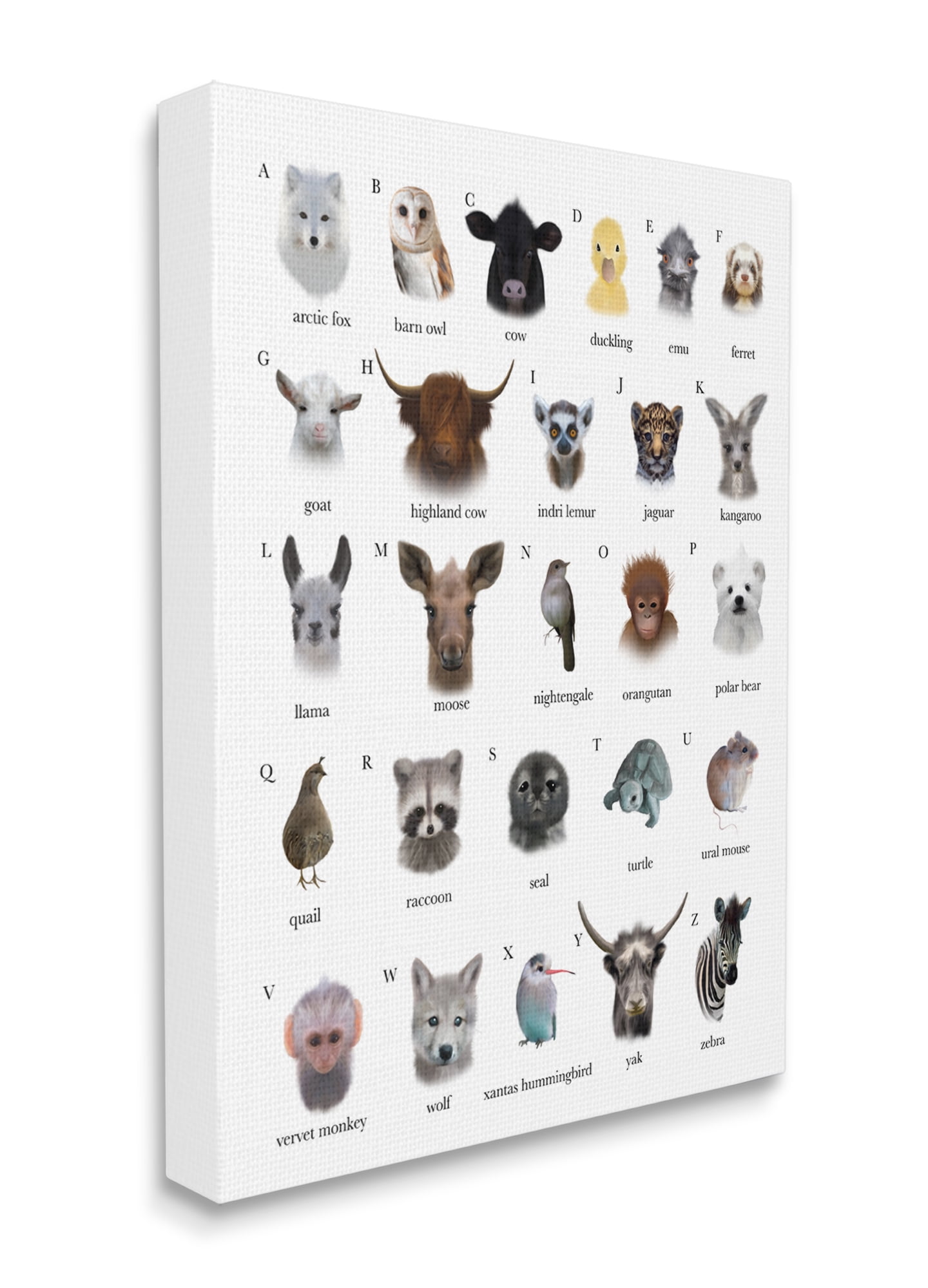 Stupell Industries Alphabet Chart of Wild Animals over White Canvas Wall Art, 30 x 40, Design by Leah Straatsma