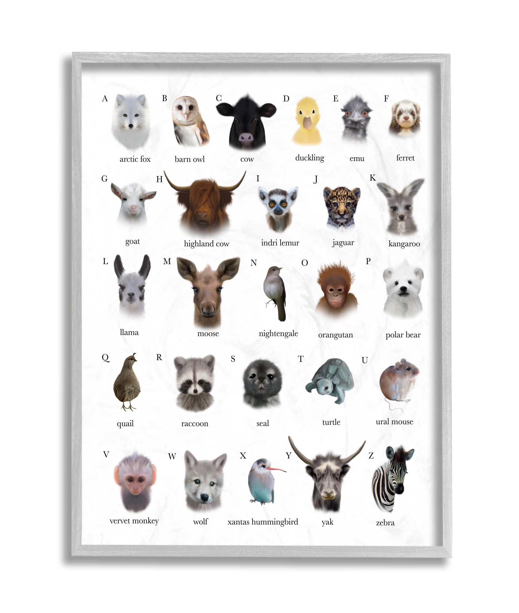 Stupell Industries Alphabet Chart of Wild Animals over White Grey Framed, 11 x 14, Design by Leah Straatsma