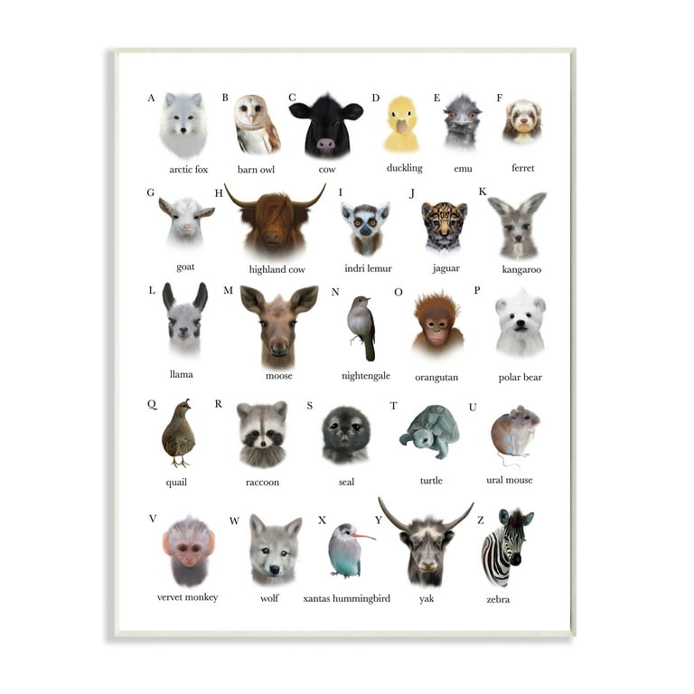 Animal Alphabet Beige/Gray Bear/Owl/Fox Woodland Wall Decals – Lambs & Ivy