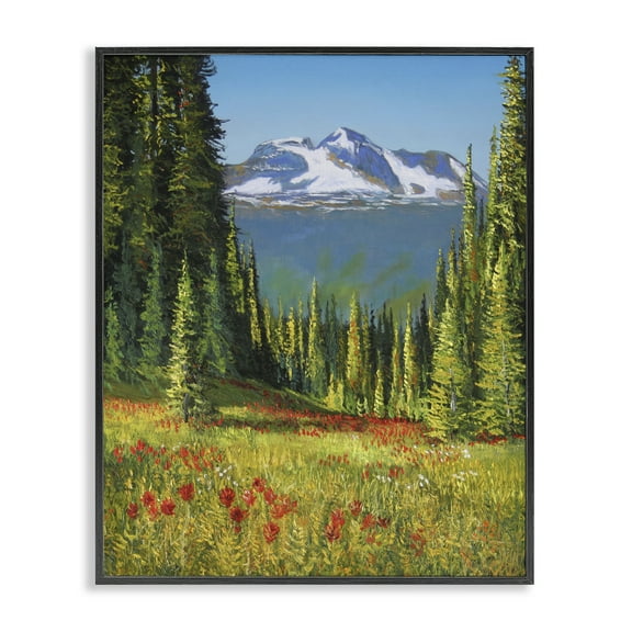 Stupell Industries Alpine Valley Meadow Landscape & Nature Painting Black Framed Art Print Wall Art, 11 x 14
