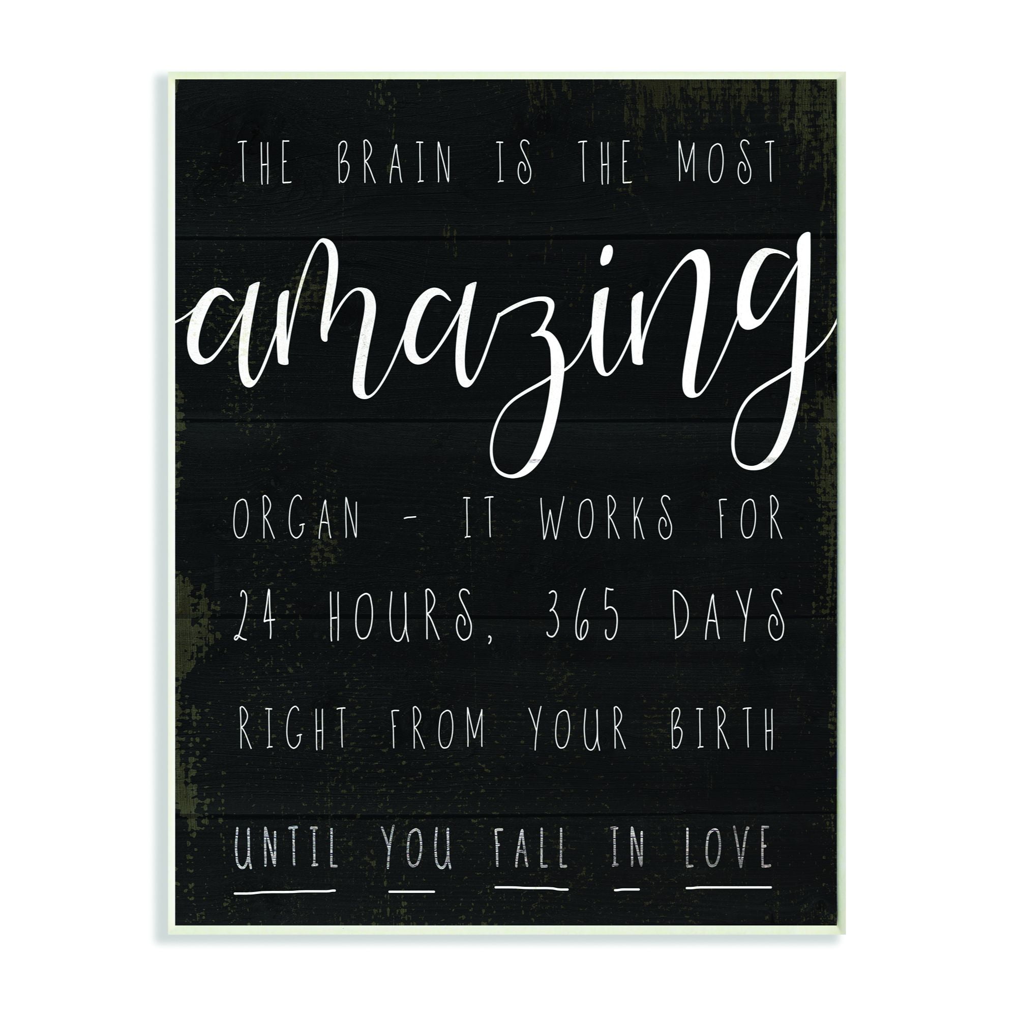 Stupell Industries Amazing Brain Love Black And White Inspirational Word Design Wall Plaque by Daphne Polselli