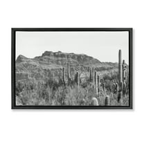 Stupell Industries American Borderlands Desertscape Landscape & Nature Photography Black Floater Framed Canvas Art Print Wall Art, 25 x 17