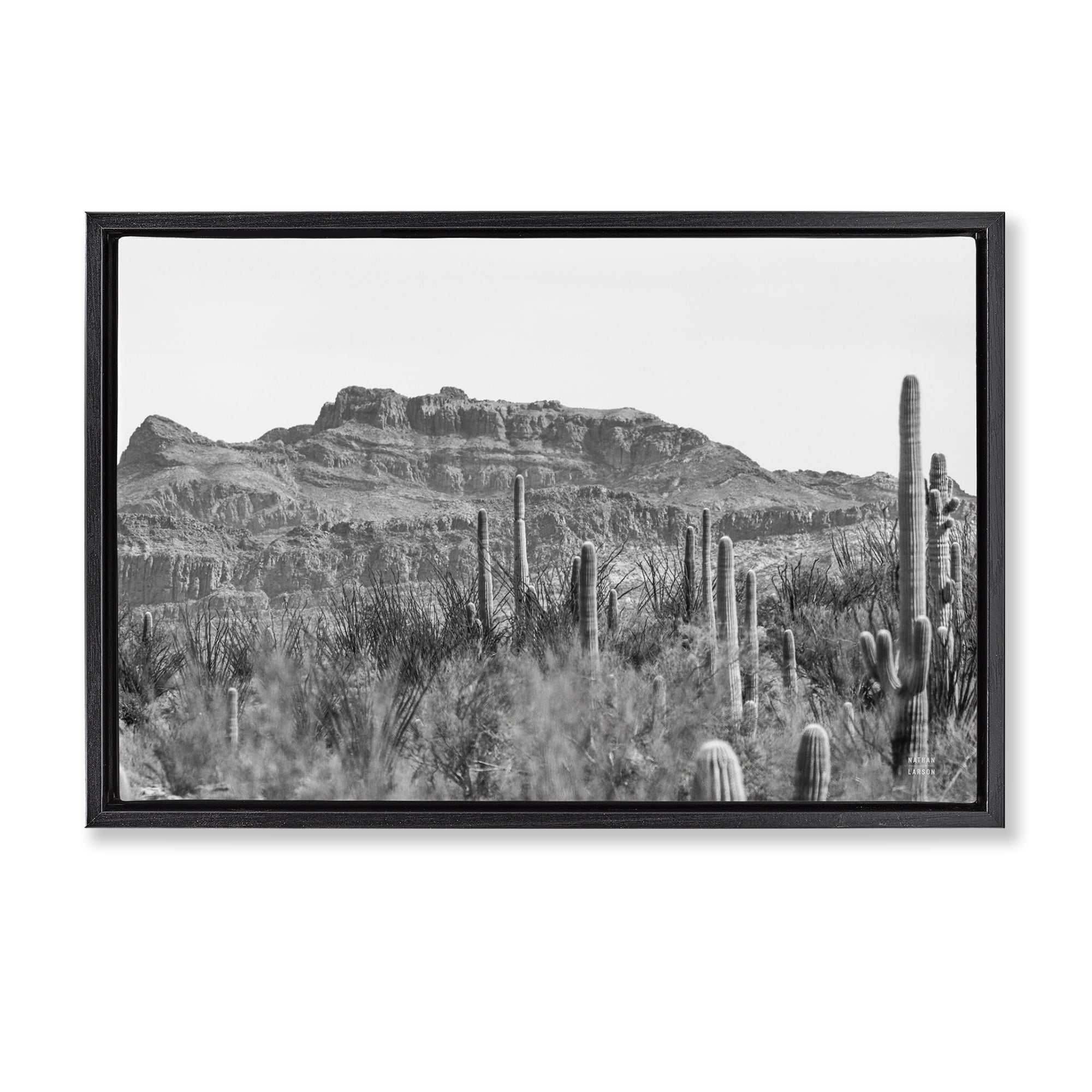 Stupell Industries American Borderlands Desertscape Landscape & Nature Photography Black Floater Framed Canvas Art Print Wall Art, 31 x 21