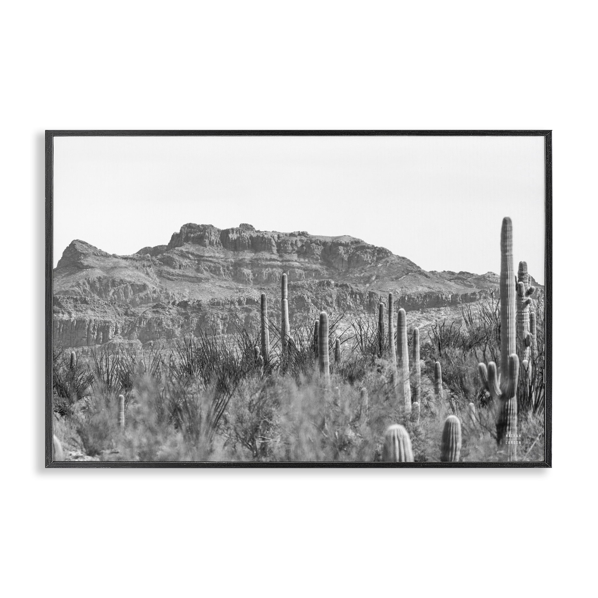 Stupell Industries American Borderlands Desertscape Landscape & Nature Photography Black Framed Art Print Wall Art, 18 x 12