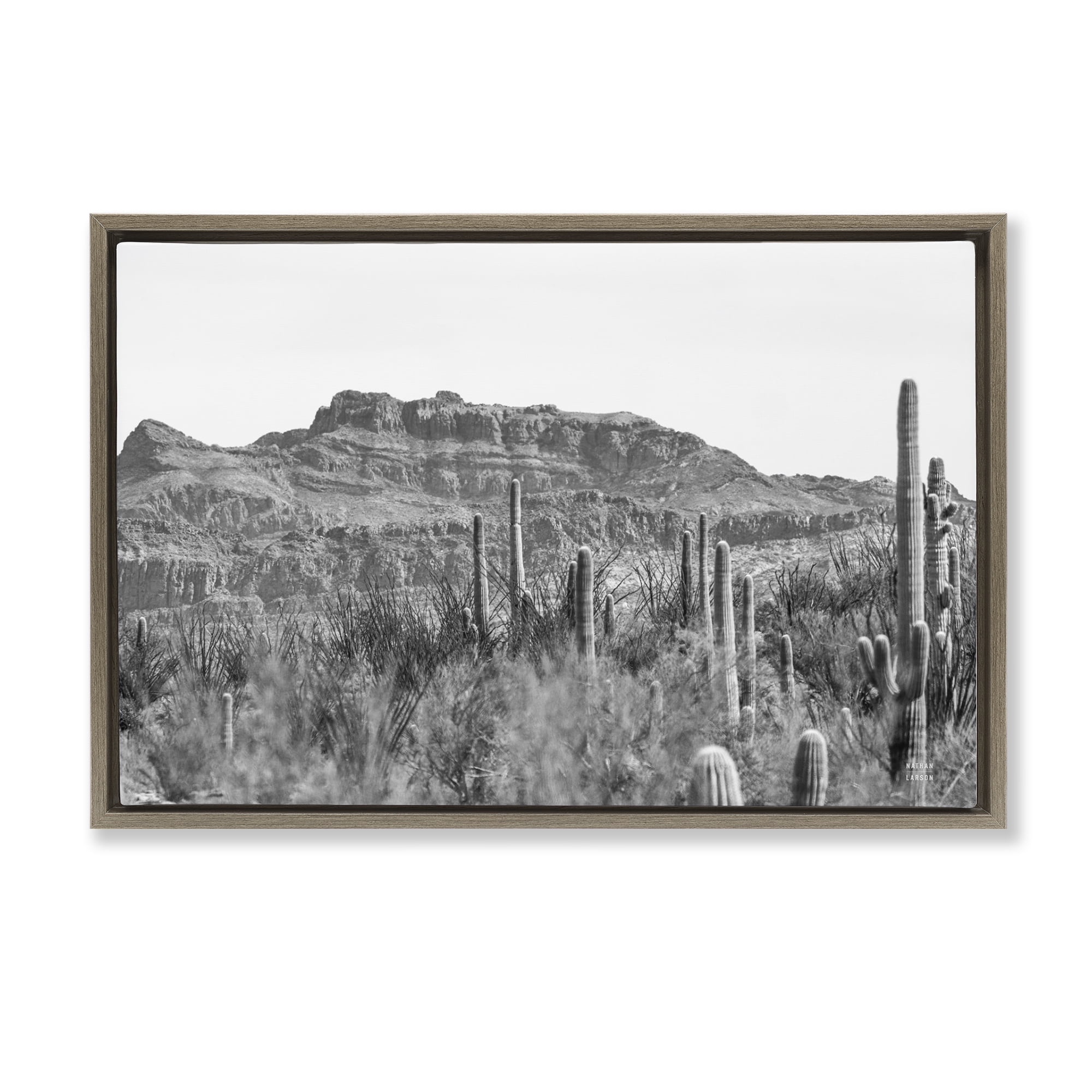 Stupell Industries American Borderlands Desertscape Landscape & Nature Photography Brown Floater Framed Canvas Art Print Wall Art, 31 x 21