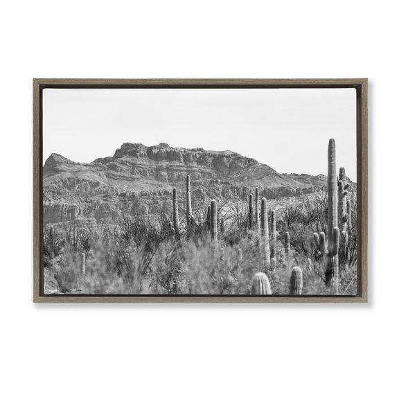 Stupell Industries American Borderlands Desertscape Landscape & Nature Photography Brown Floater Framed Canvas Art Print Wall Art, 31 x 21