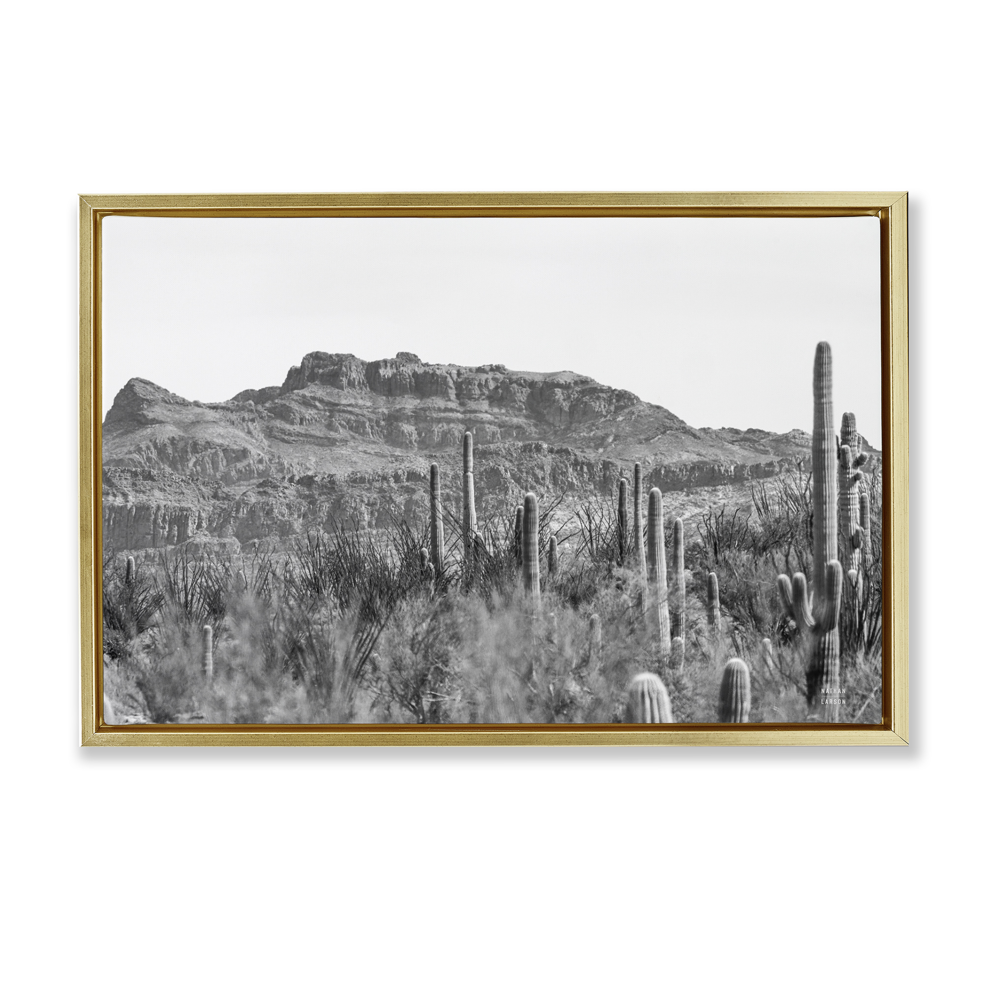 Stupell Industries American Borderlands Desertscape Landscape & Nature Photography Gold Floater Framed Canvas Art Print Wall Art, 31 x 21