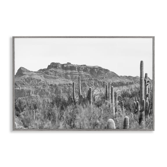 Stupell Industries American Borderlands Desertscape Landscape & Nature Photography Gray Framed Art Print Wall Art, 30 x 20