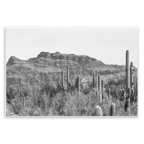 Stupell Industries American Borderlands Desertscape Landscape & Nature Photography Unframed Art Print Wall Art, 19 x 13