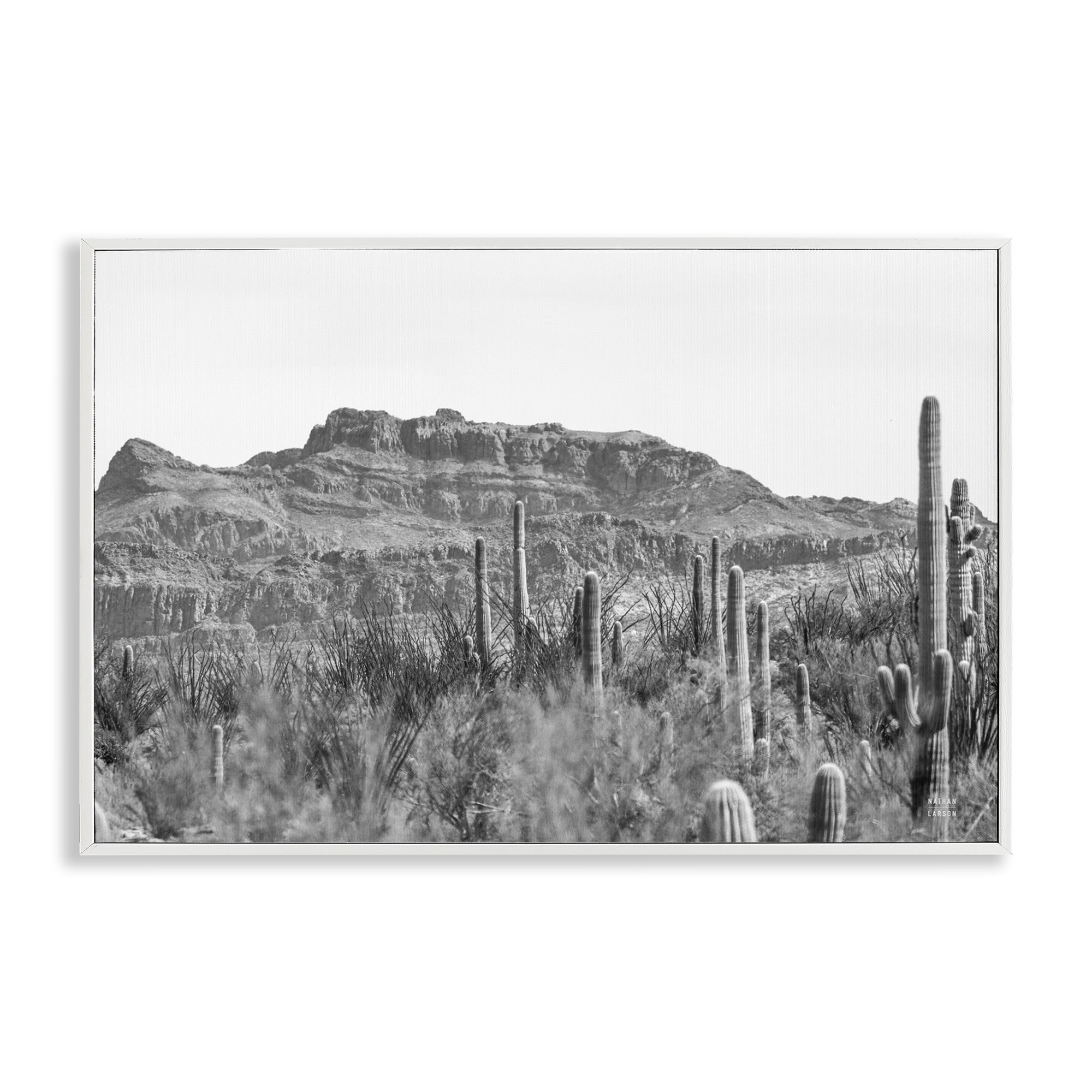 Stupell Industries American Borderlands Desertscape Landscape & Nature Photography White Framed Art Print Wall Art, 24 x 16