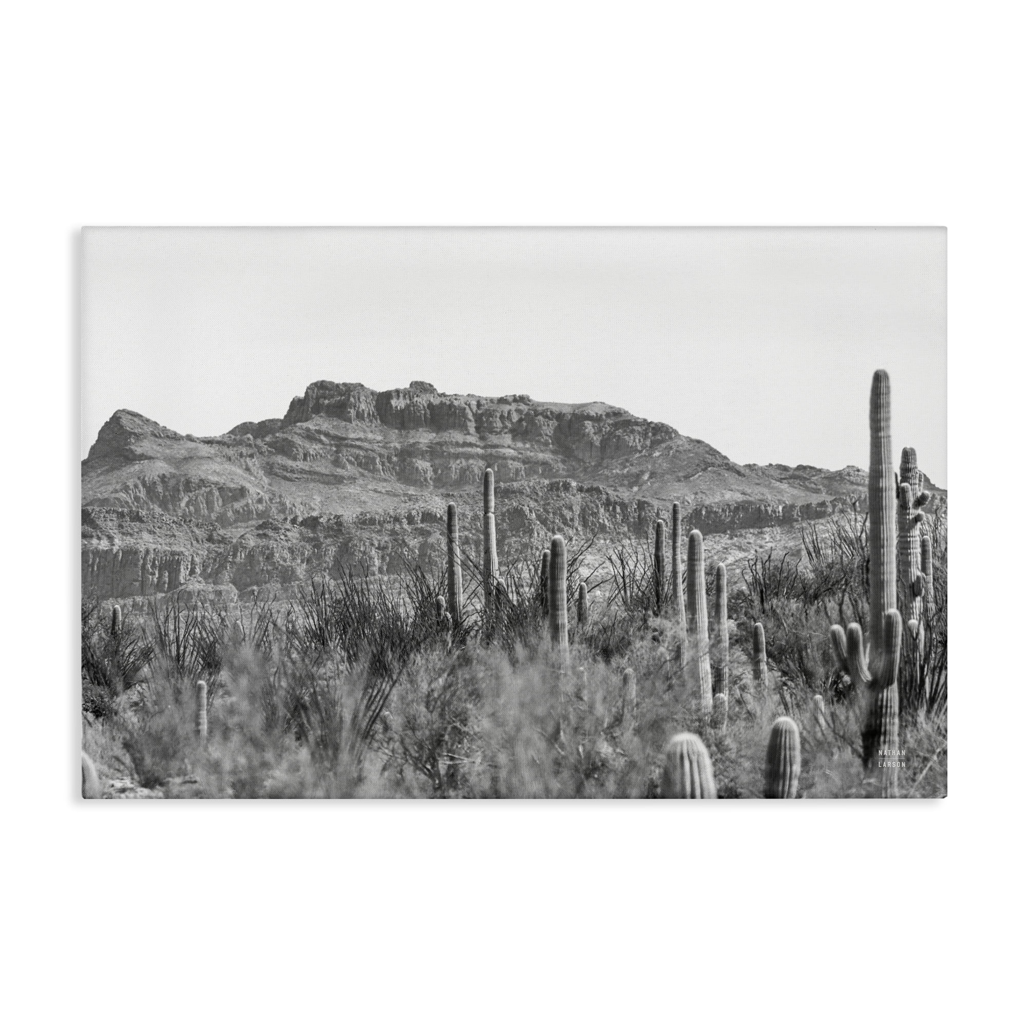 Stupell Industries American Borderlands Desertscape Landscape & Nature Photography Wrapped Canvas Art Print Wall Art, 36 x 24