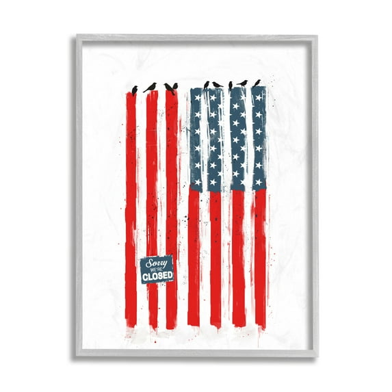 Stupell Industries American Flag Birds on Wall Political Statement Gray Framed by Balazs Solti