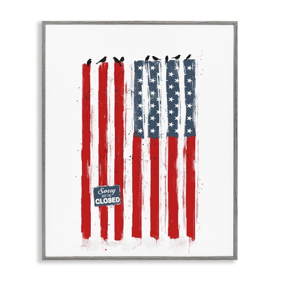 Stupell Industries Farmhouse American Flag Birds Political Statement Gray Framed Giclee Art, 16 x 20, by Balazs Solti