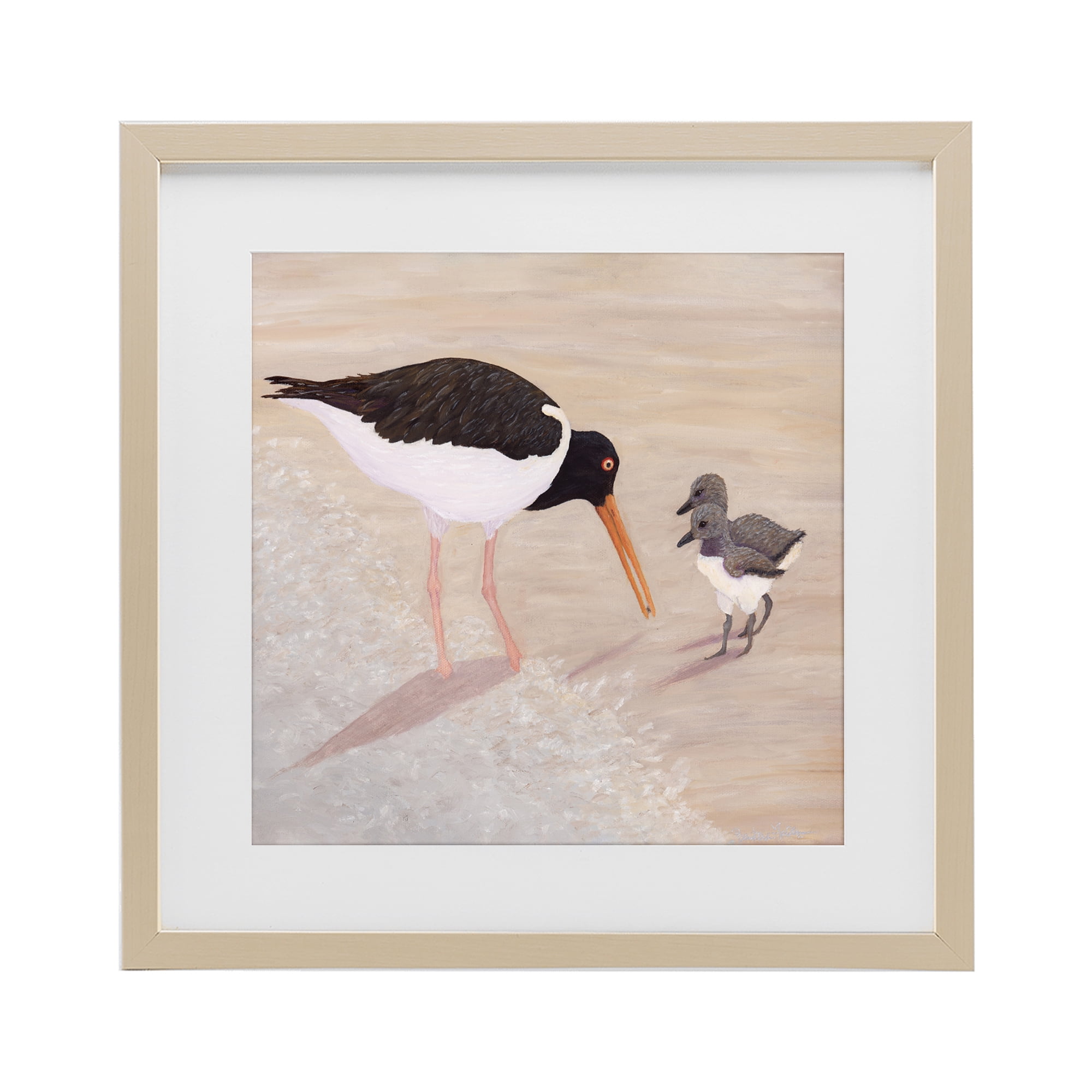 Stupell Industries American Oyster Catcher & Chicks Birch Framed Print Under Glass, design by Barbara Fallenbaum