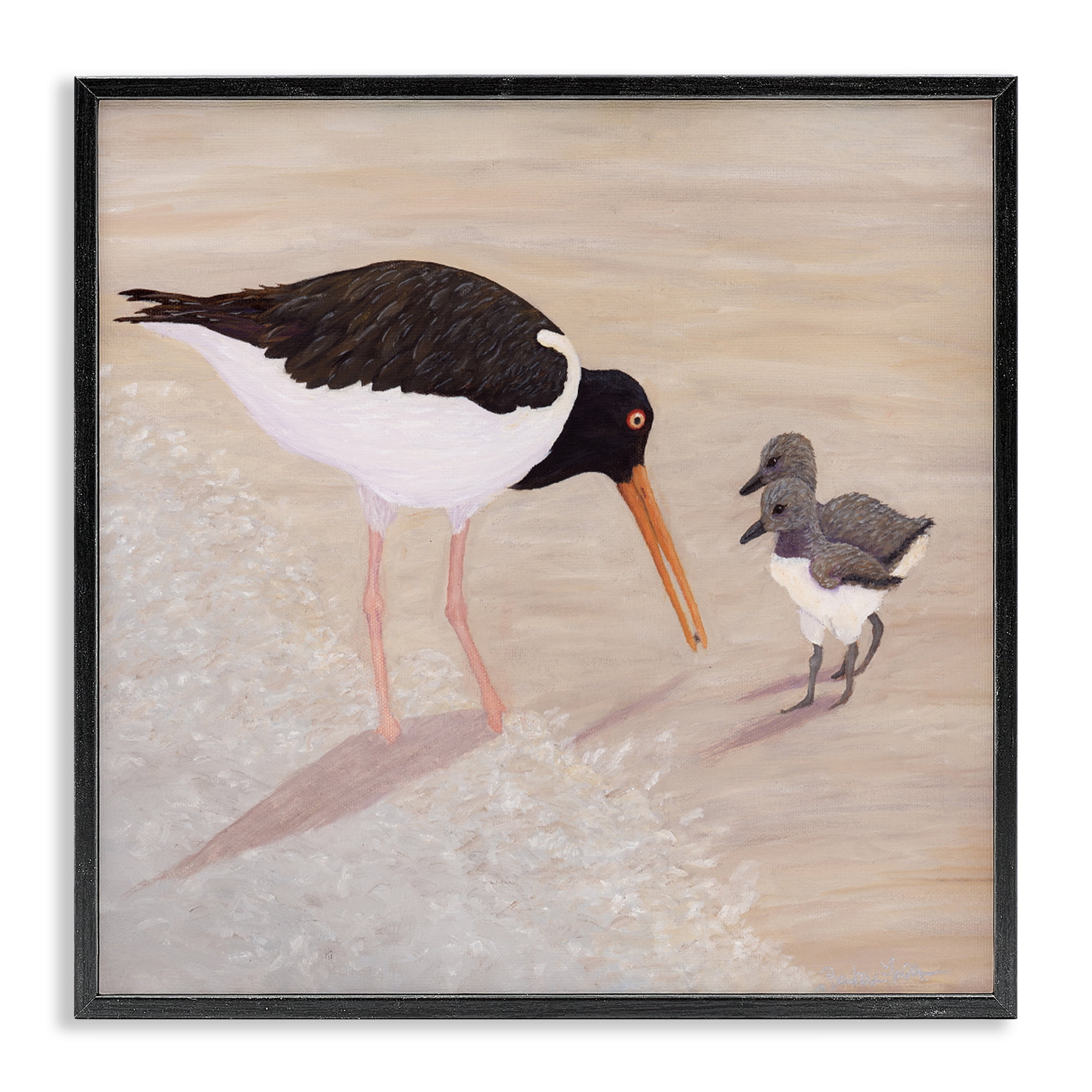Stupell Industries American Oyster Catcher & Chicks Black Framed Giclee Art, design by Barbara Fallenbaum