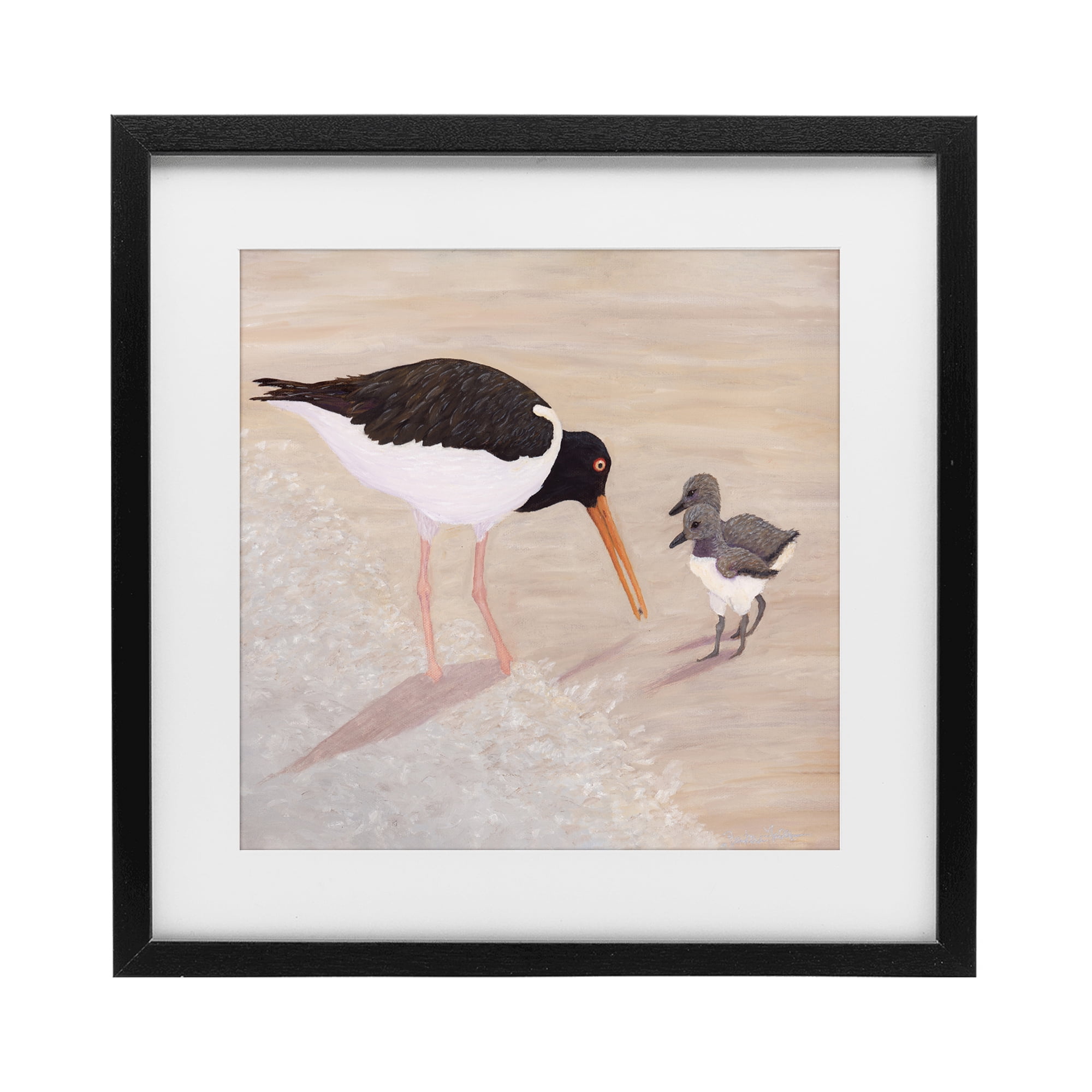 Stupell Industries American Oyster Catcher & Chicks Black Framed Print Under Glass, design by Barbara Fallenbaum