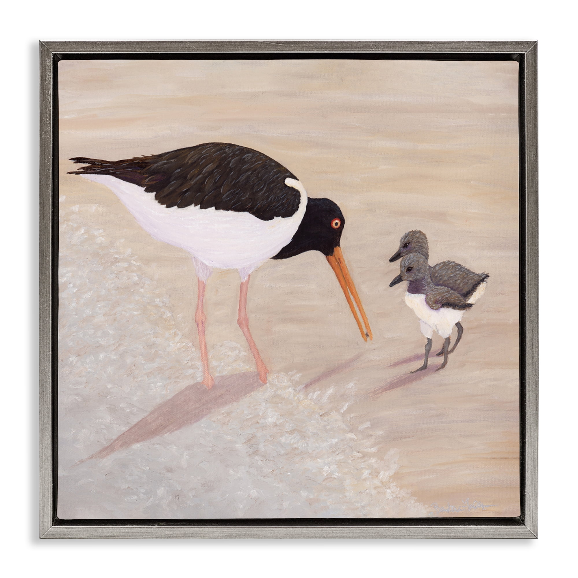 Stupell Industries American Oyster Catcher & Chicks Gray Framed Floater Canvas Wall Art, design by Barbara Fallenbaum