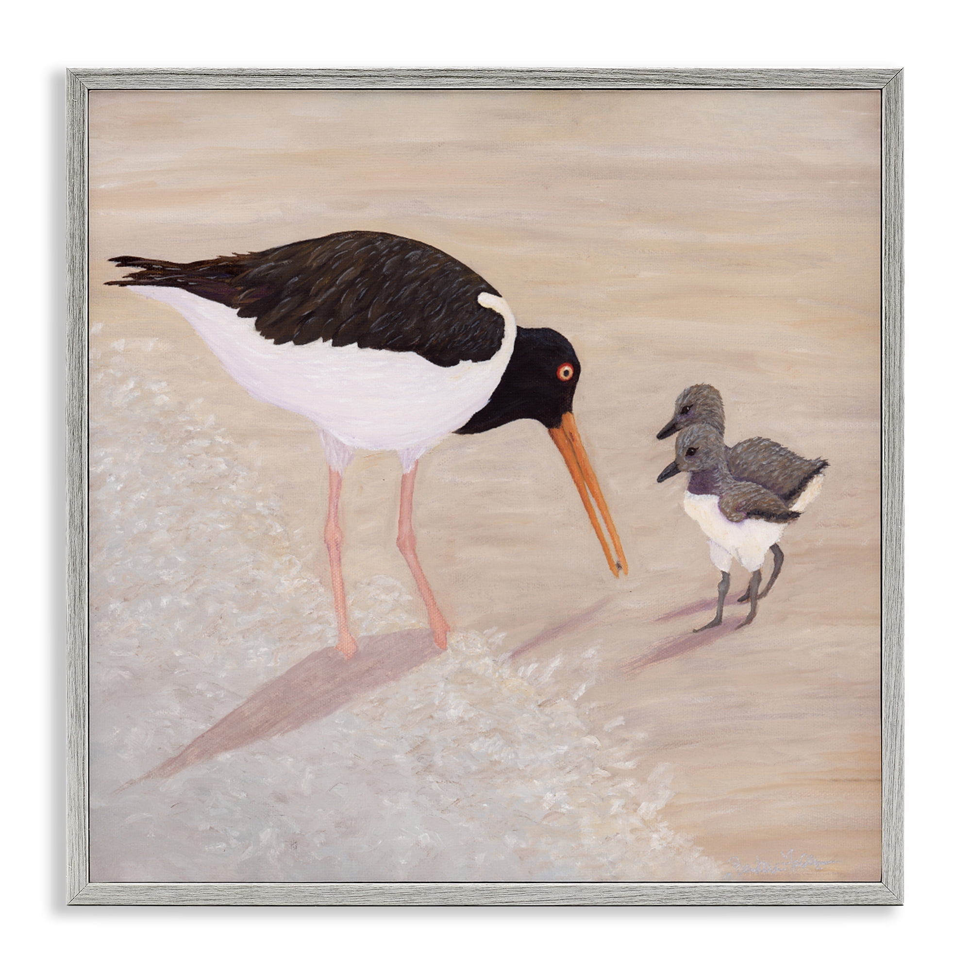 Stupell Industries American Oyster Catcher & Chicks Gray Framed Giclee Art, design by Barbara Fallenbaum