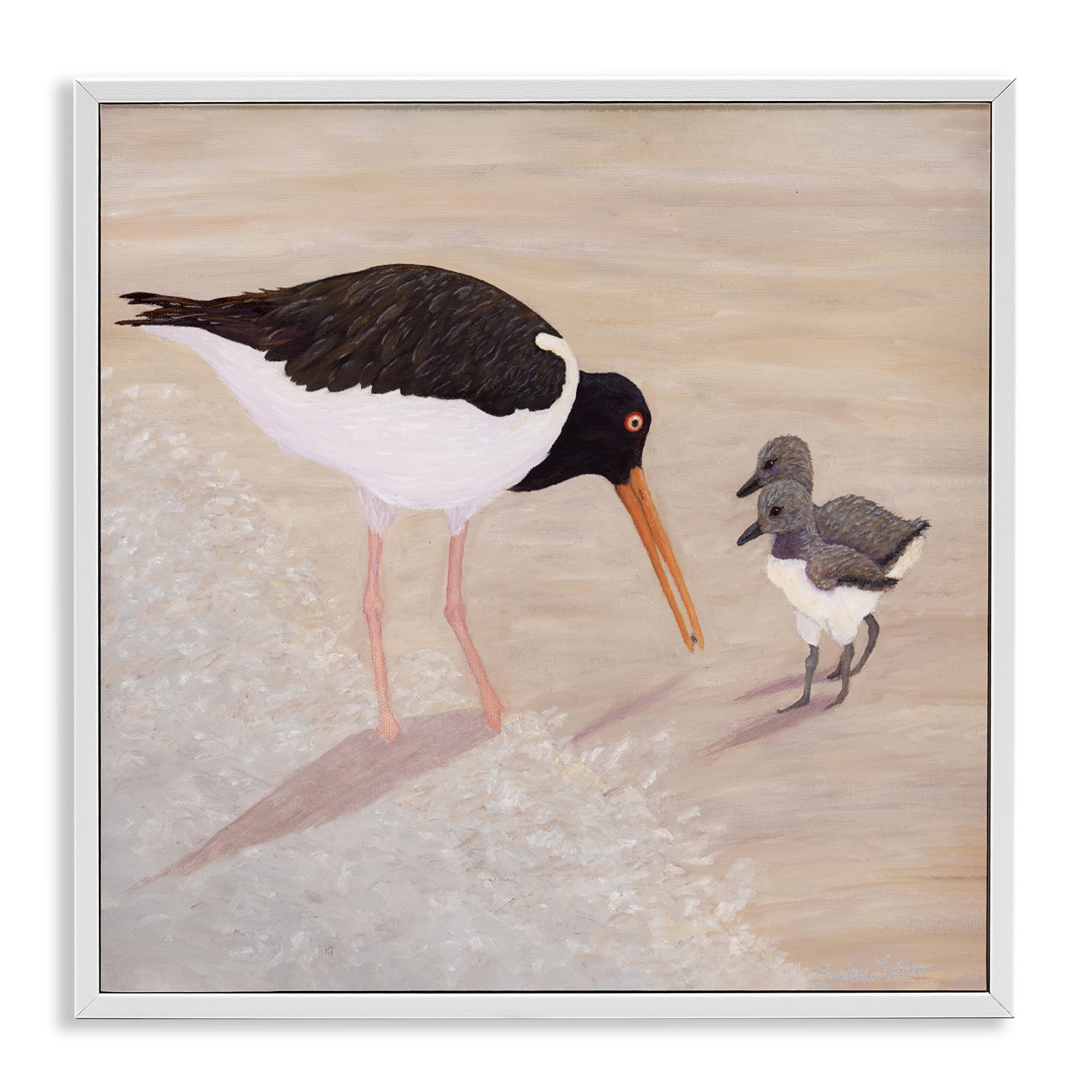 Stupell Industries American Oyster Catcher & Chicks White Framed Giclee Art, design by Barbara Fallenbaum