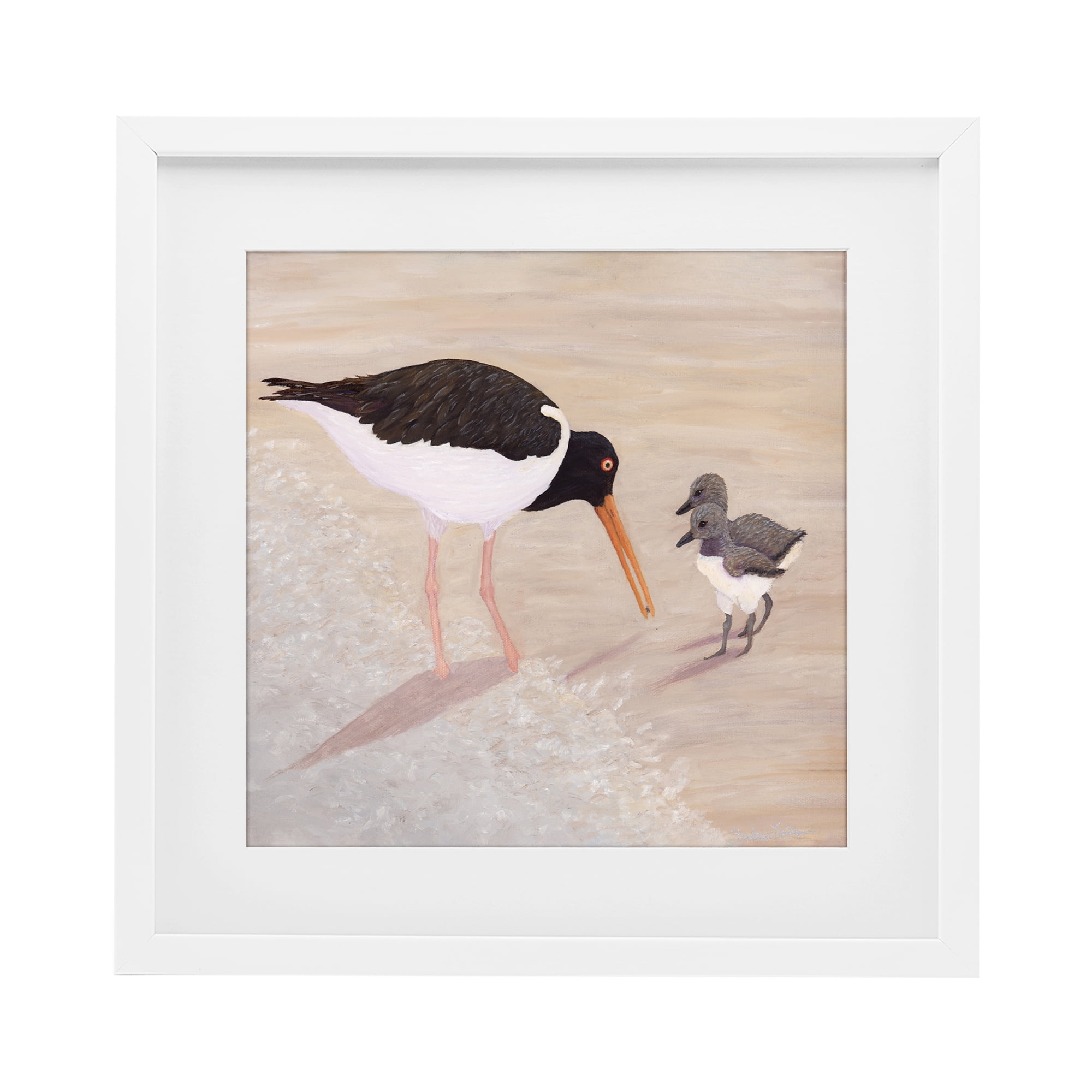 Stupell Industries American Oyster Catcher & Chicks White Framed Print Under Glass, design by Barbara Fallenbaum