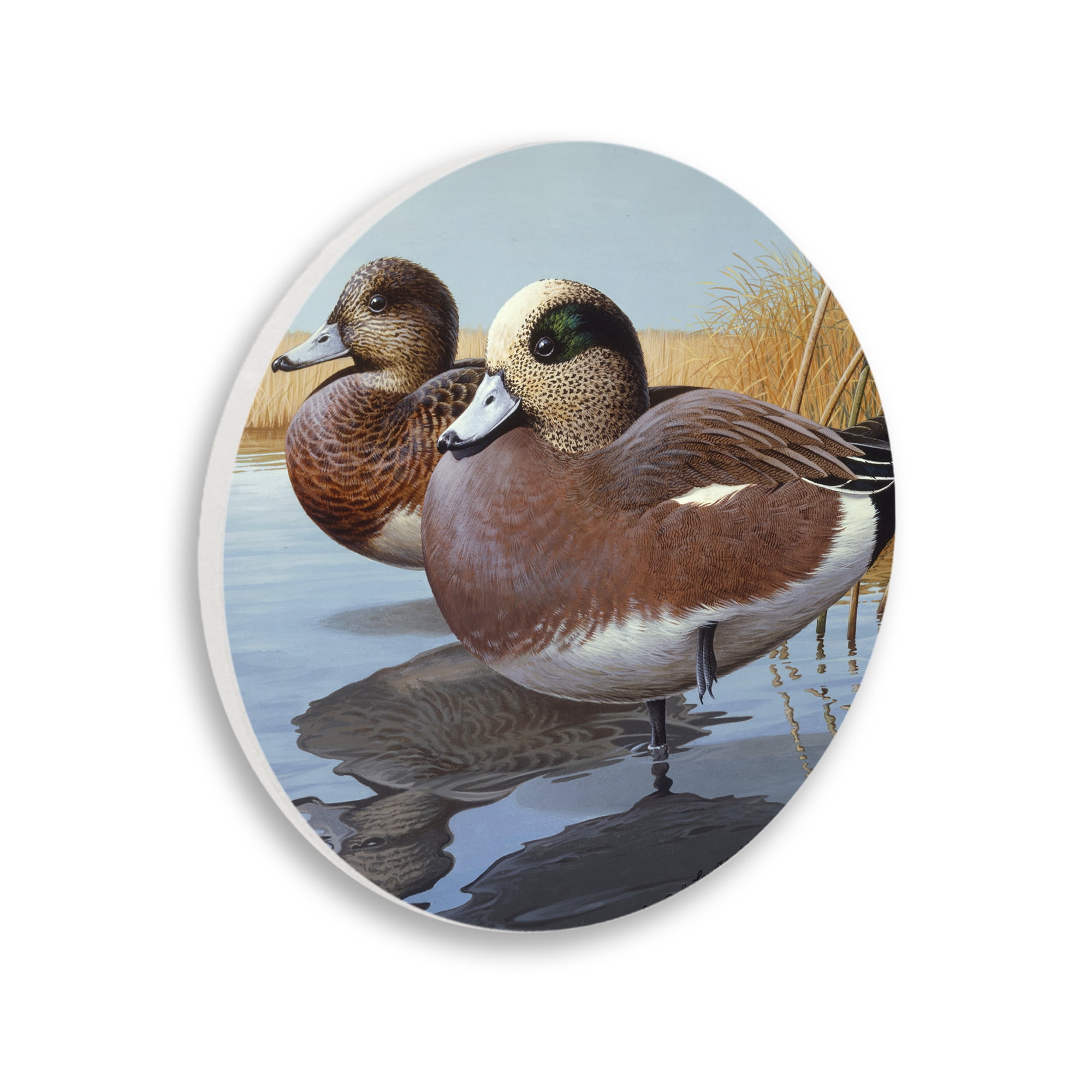 Stupell Industries American Wigeons on Shore Animals Painting Unframed Art Print Wall Art, 12 x 12