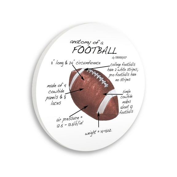 Stupell Industries Anatomy Of Football Educational Sports Facts Diagram Graphic Art Unframed Art Print Wall Art, Design by Dishique