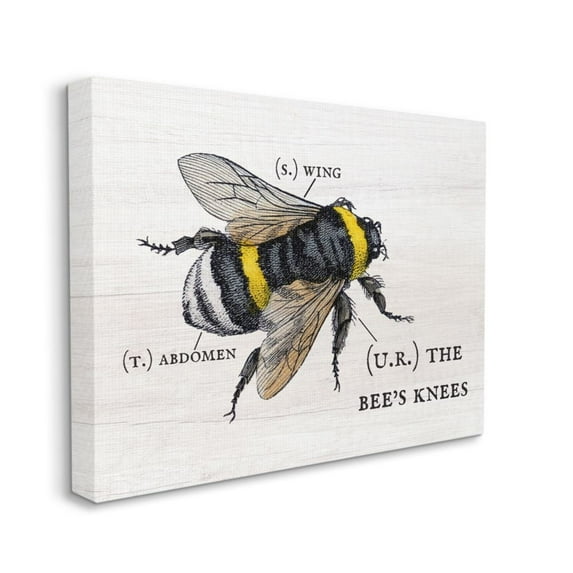 Stupell Industries Anatomy of Honey Bee Pun Charming Bee's Knees Design by Daphne Polselli, 16" x 20"