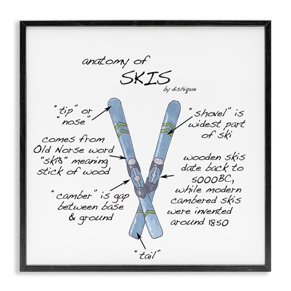 Stupell Industries Farmhouse Anatomy of Skis Winter Sports Diagram Facts Chart Black Framed Giclee Art, 17 x 17, by Dishique