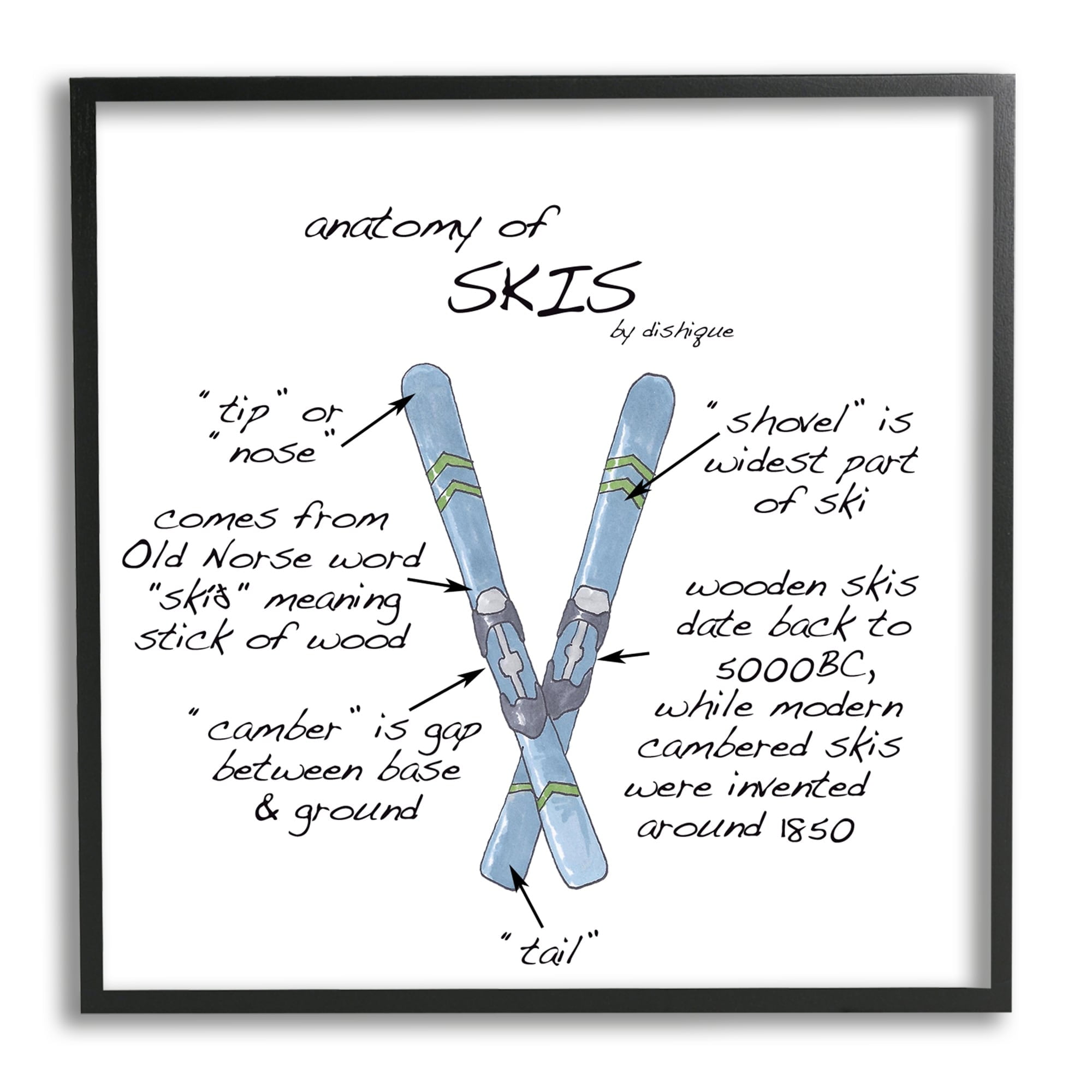 Stupell Industries Anatomy of Skis Winter Sports Diagram Facts Chart Graphic Art Black Framed Art Print Wall Art, Design by Dishique