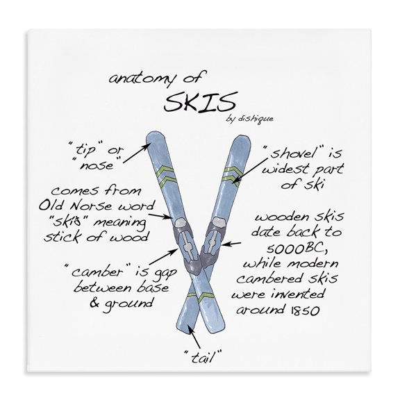Stupell Industries Farmhouse Anatomy of Skis Winter Sports Diagram Facts Chart Canvas Art, 17 x 17, by Dishique