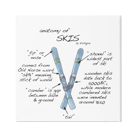 Stupell Industries Anatomy of Skis Winter Sports Diagram Facts Chart Graphic Art Gallery Wrapped Canvas Print Wall Art, Design by Dishique