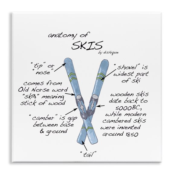 Stupell Industries Farmhouse Anatomy of Skis Winter Sports Diagram Facts Chart Wall Plaque Art, 12 x 12, by Dishique