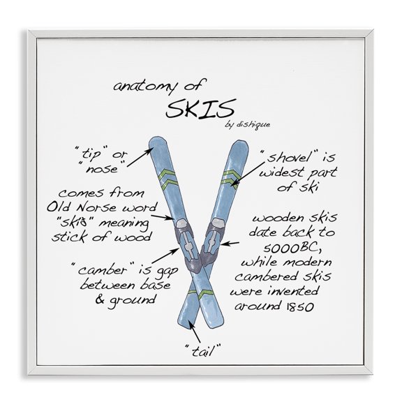 Stupell Industries Farmhouse Anatomy of Skis Winter Sports Diagram Facts Chart White Framed Giclee Art, 12 x 12, by Dishique