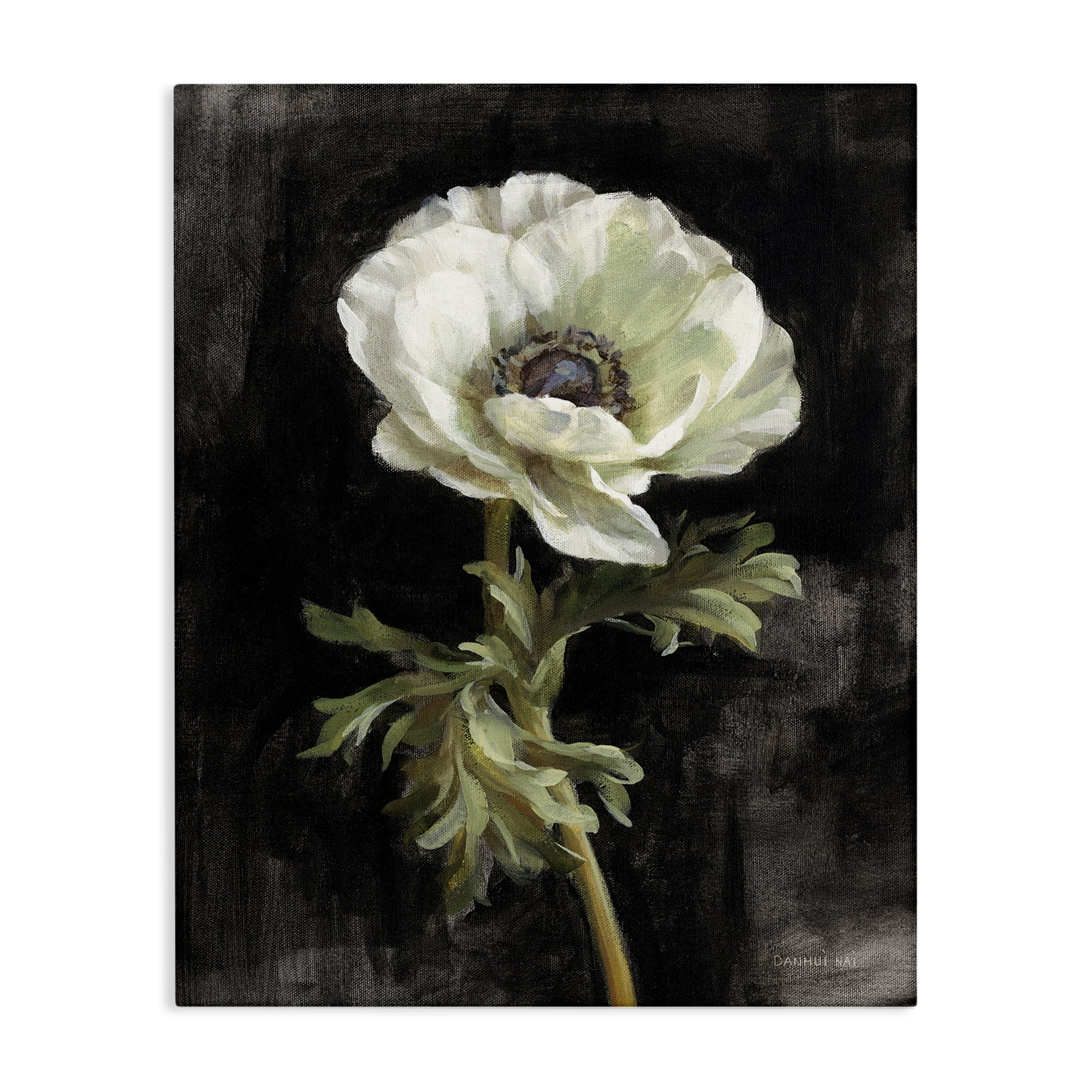 Stupell Industries Anemone on Black Plants & Flowers Painting Wrapped Canvas Art Print Wall Art, 24 x 30