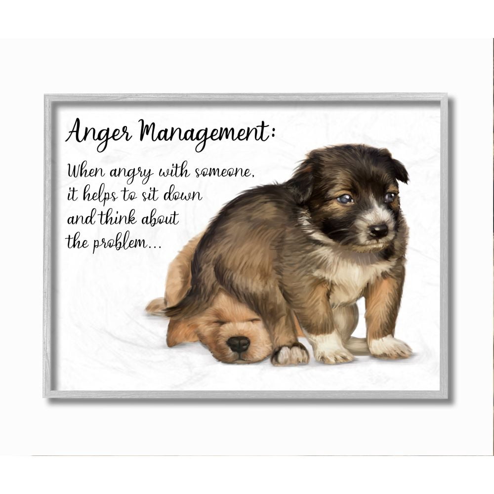 Stupell Industries Anger Management Advice Puppy Dog Humor Phrase Framed Wall Art Design by Ziwei Li