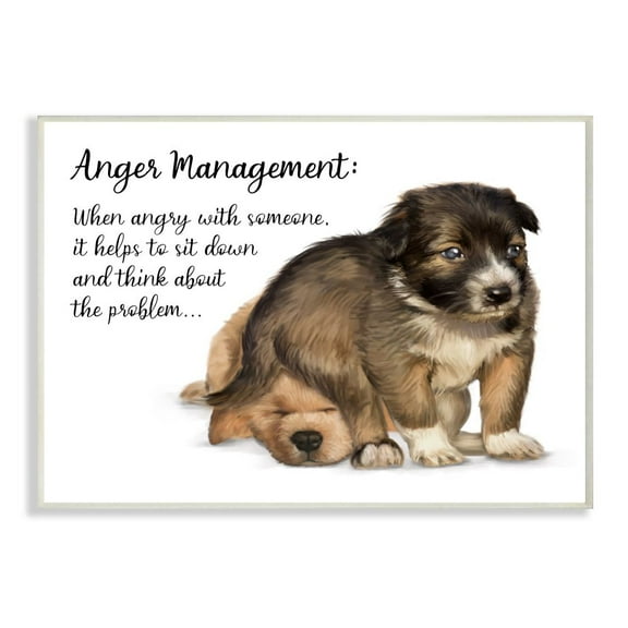 Stupell Industries Anger Management Advice Puppy Dog Humor Phrase Wall Plaque Design by Ziwei Li