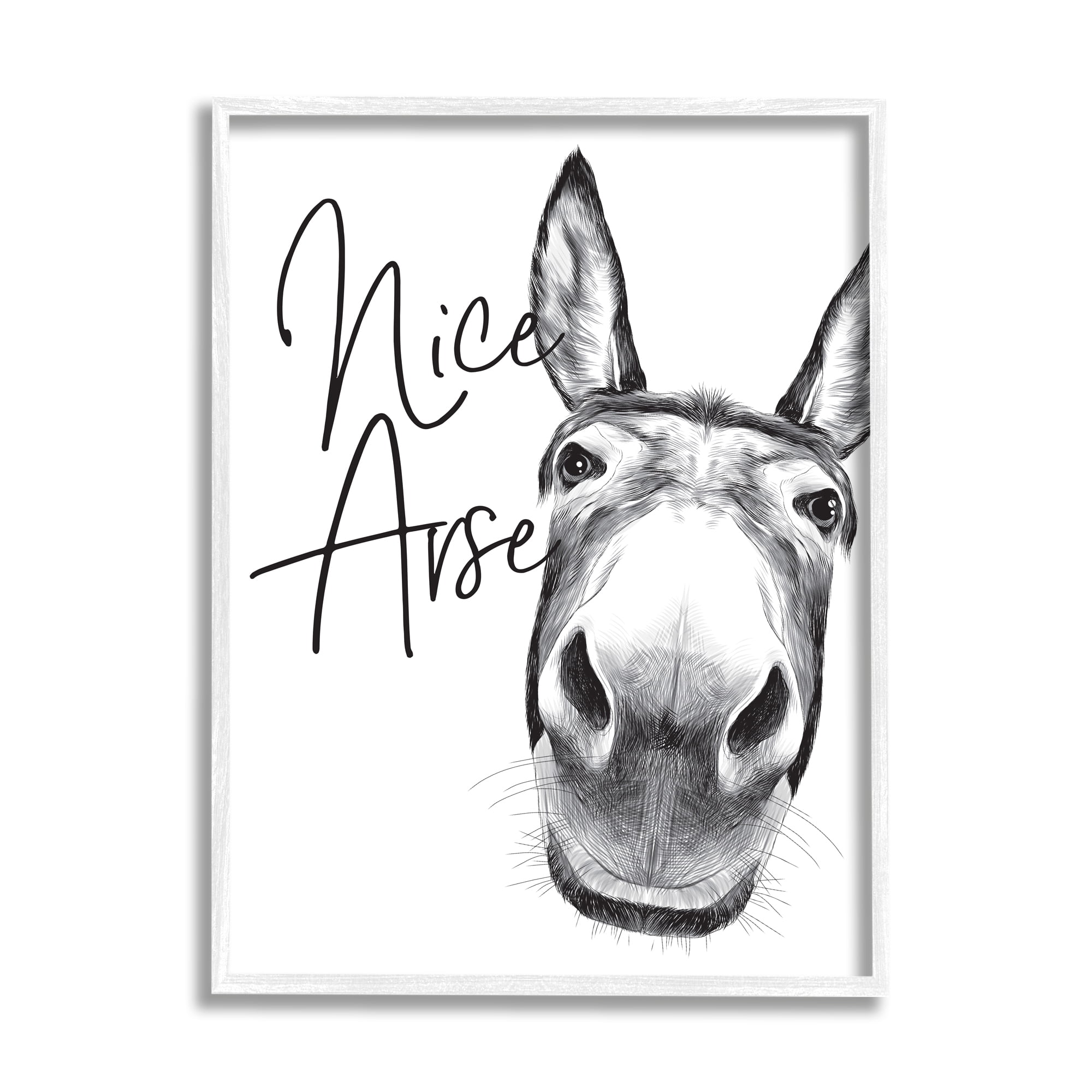 Stupell Industries Animal Humor Nice Arse Donkey Bathroom Phrase, 24 x 30,Design by Lettered and Lined