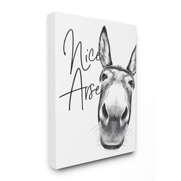 Stupell Industries Animal Humor Nice Arse Donkey Bathroom Phrase Canvas Wall Art Design by Lettered and Lined, 16" x 20"